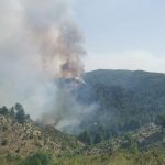 Incendi, un’altra giornata di fuoco al Sud Italia: caldo e vento alimentano i roghi appiccati da “delinquenti impuniti” [FOTO]
