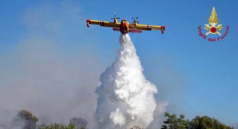 canadair generica