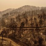 Continua la lotta contro gli incendi ad Evia, la Grecia “sta affrontando un disastro naturale senza precedenti” [FOTO]