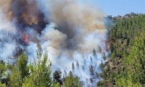 incendi gerusalemme