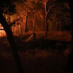 Temperature torride e incendi, “situazione estremamente critica” in Grecia: 16 ricoverati, impegnati centinaia di vigili del fuoco [FOTO]