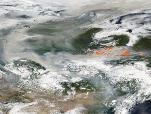incendi siberia polo nord