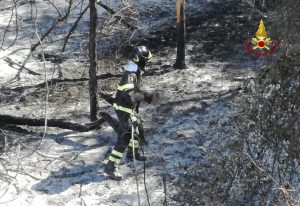 incendi vigili del fuoco