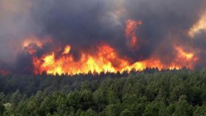 incendio Jendouba Tunisia