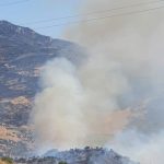 Incendi in Sicilia, ancora fiamme sulle Madonie: nuovi roghi a San Mauro Castelverde, molti animali morti – FOTO
