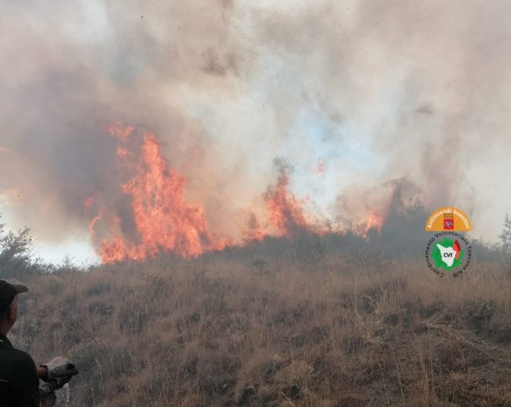 incendio monte aquilaia toscana