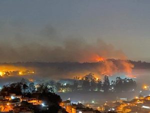 incendio parco san paolo
