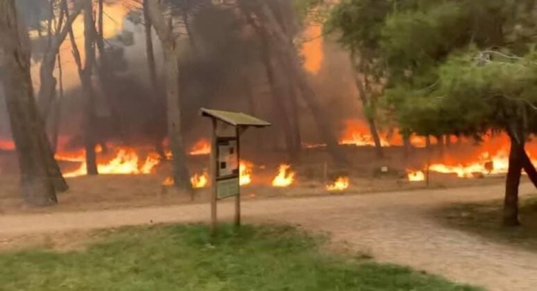 incendio pescara