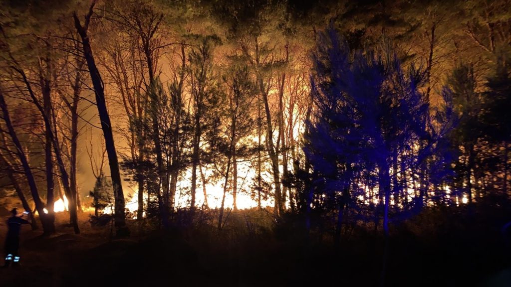 incendio pineta isola capo rizzuto