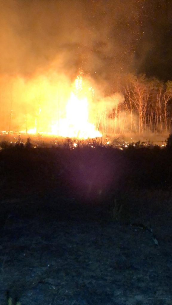 incendio pineta isola capo rizzuto