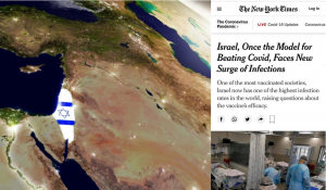 israele new york times