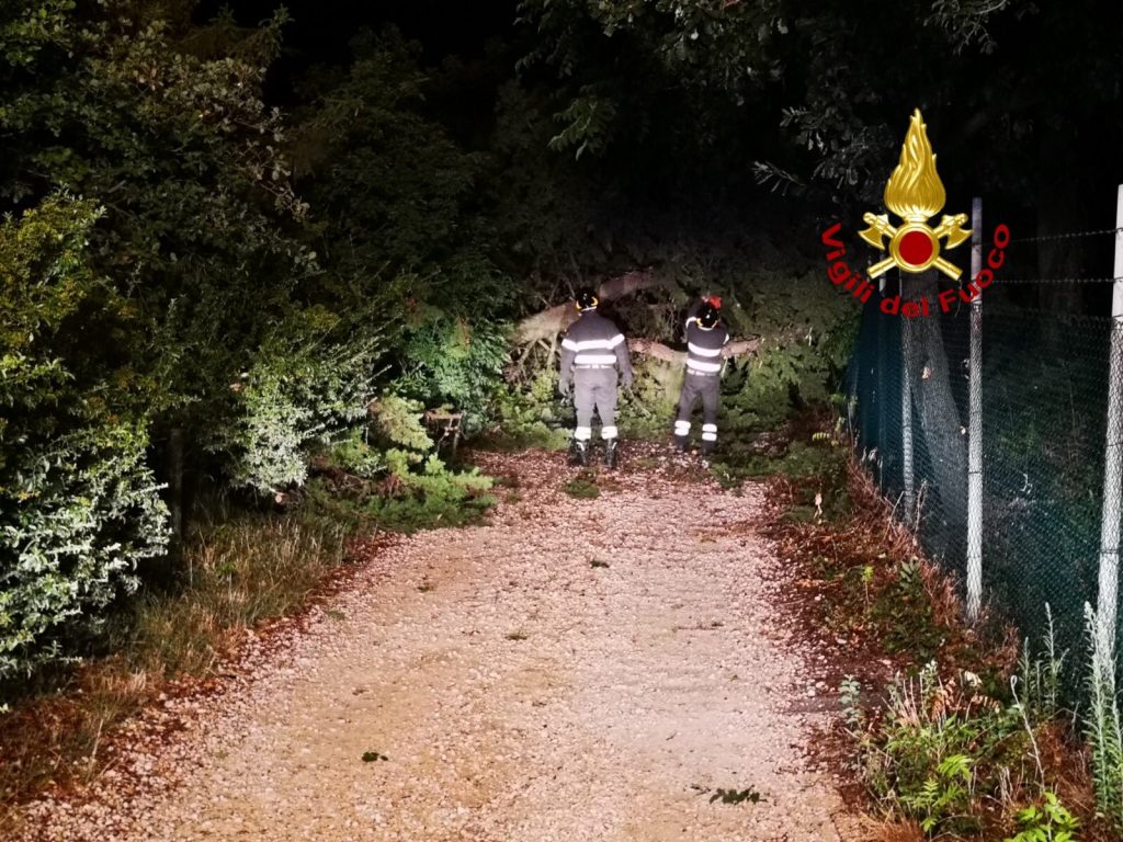 maltempo Friuli Venezia Giulia