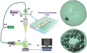 nanoparticelle grafene