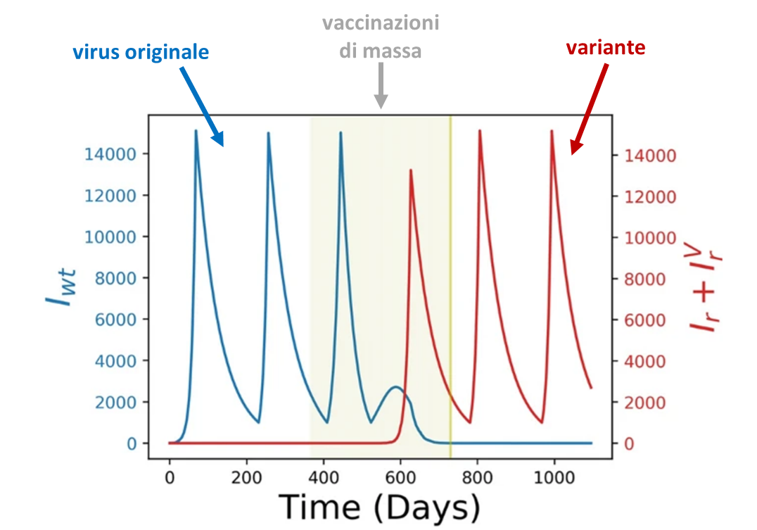 studio vaccinazioni di massa covid variante vaccini