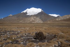 Tibet