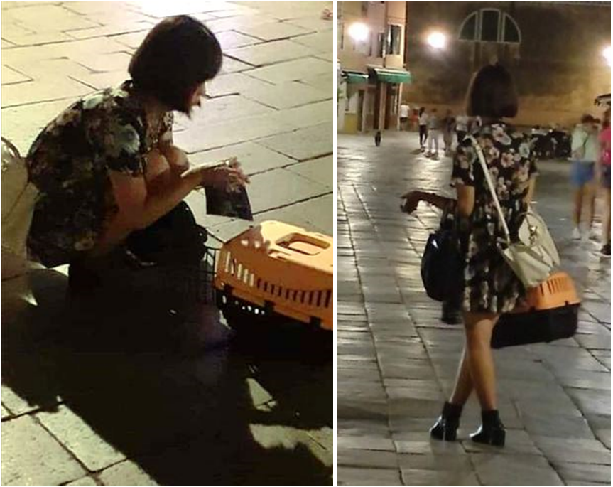 venezia donna coreana banda rapitori di gatti