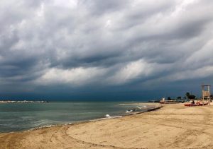 bari