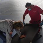Allerta Meteo “rossa” a Crotone: rischio esondazioni, evacuazioni in corso [FOTO]