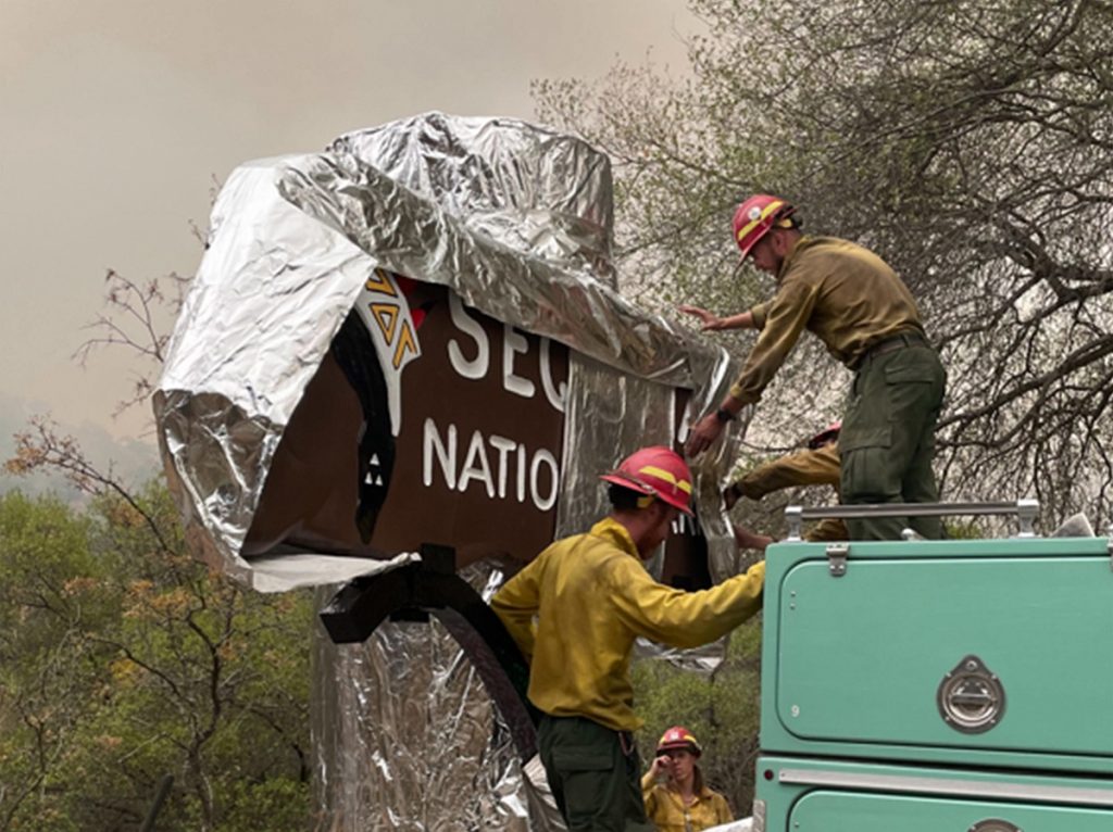 incendi california sequoie