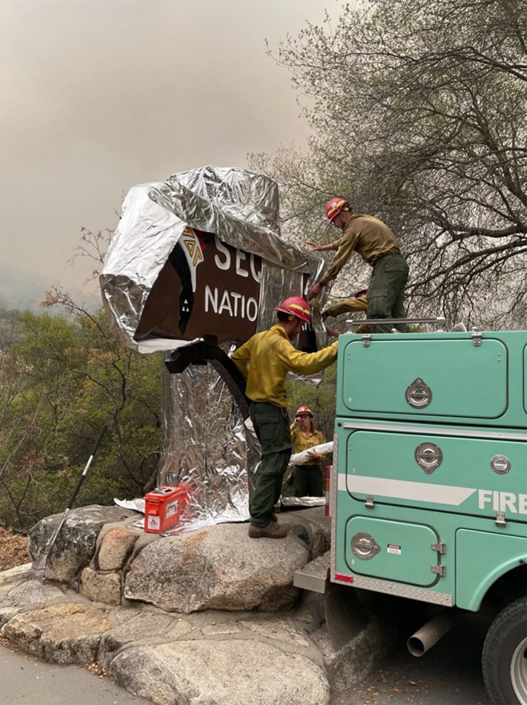 incendi california sequoie