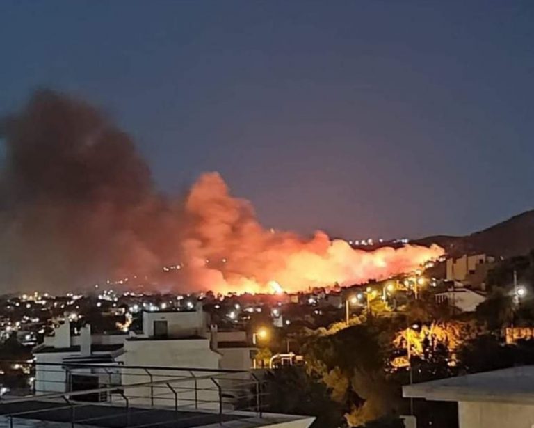 incendio Nea Makri Grecia Atene
