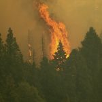 Incendio minaccia le sequoie giganti in California: anche “General Sherman” avvolto in coperte ignifughe [FOTO]