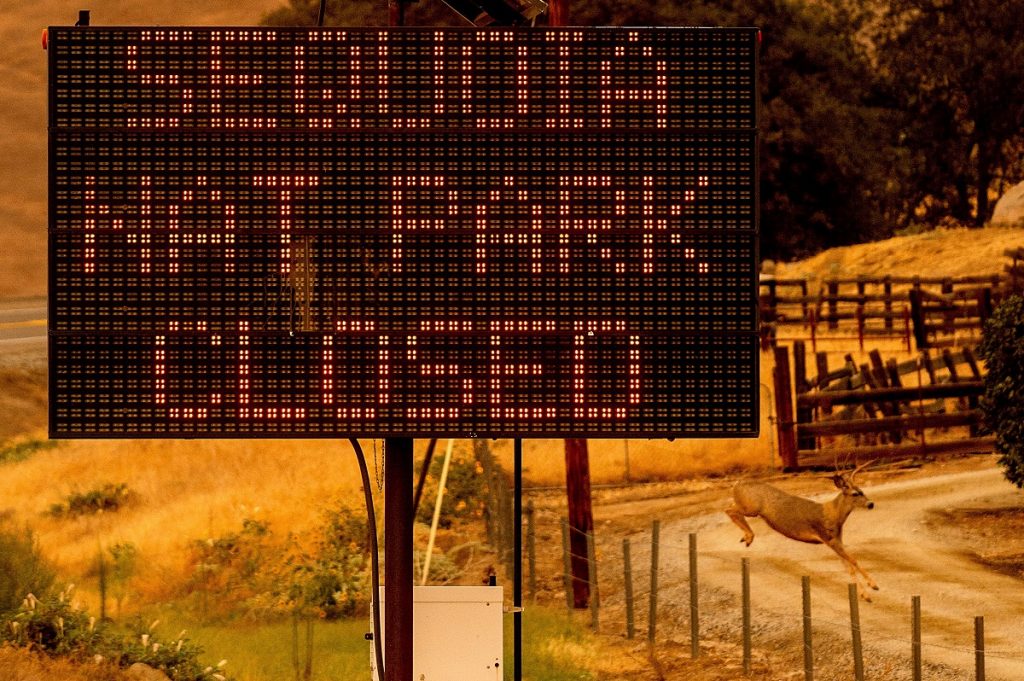 incendio in california sequoie