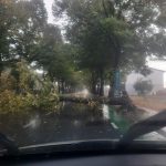 Maltempo, nubifragi in Emilia Romagna: allagamenti e alberi caduti a Forlì, auto sommerse – FOTO e VIDEO