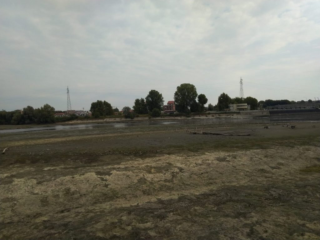 moria pesci Po Torino