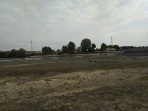 moria pesci Po Torino