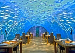 ristorante sottomarino Ithaa Undersea Restaurant