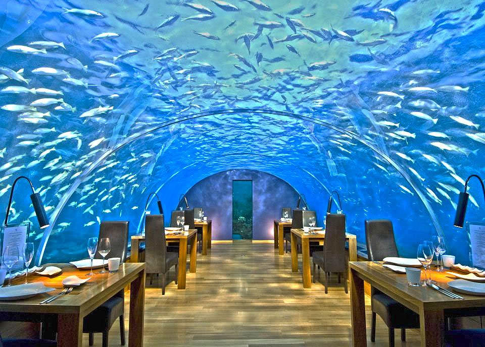 ristorante sottomarino Ithaa Undersea Restaurant
