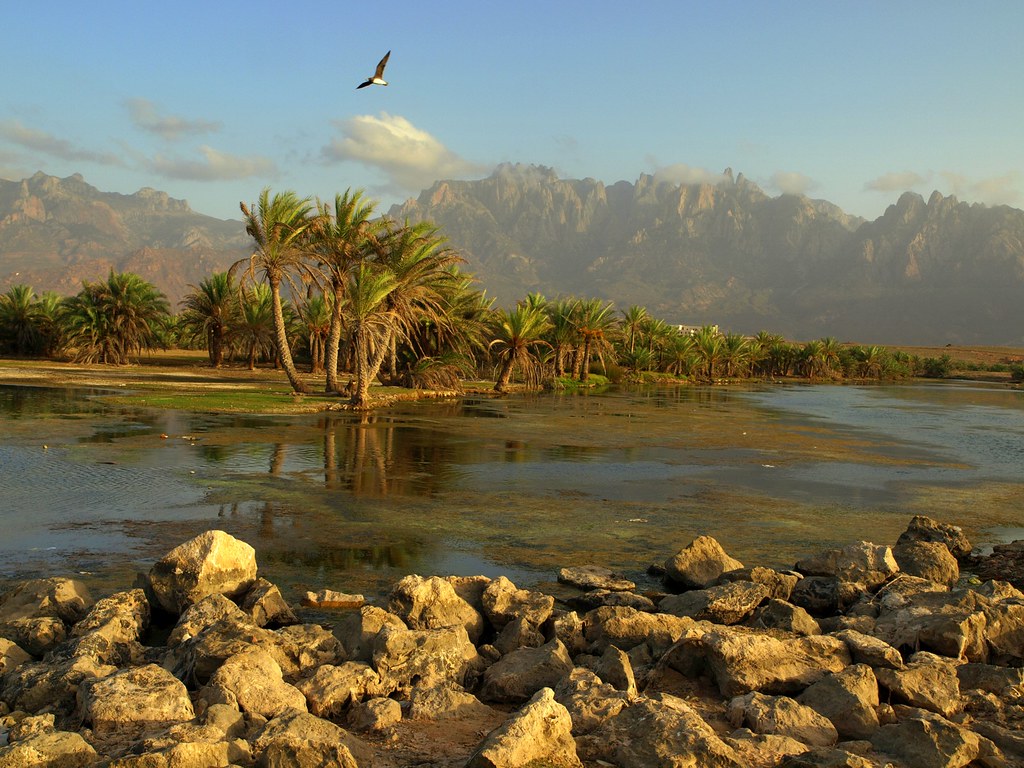 socotra yemen