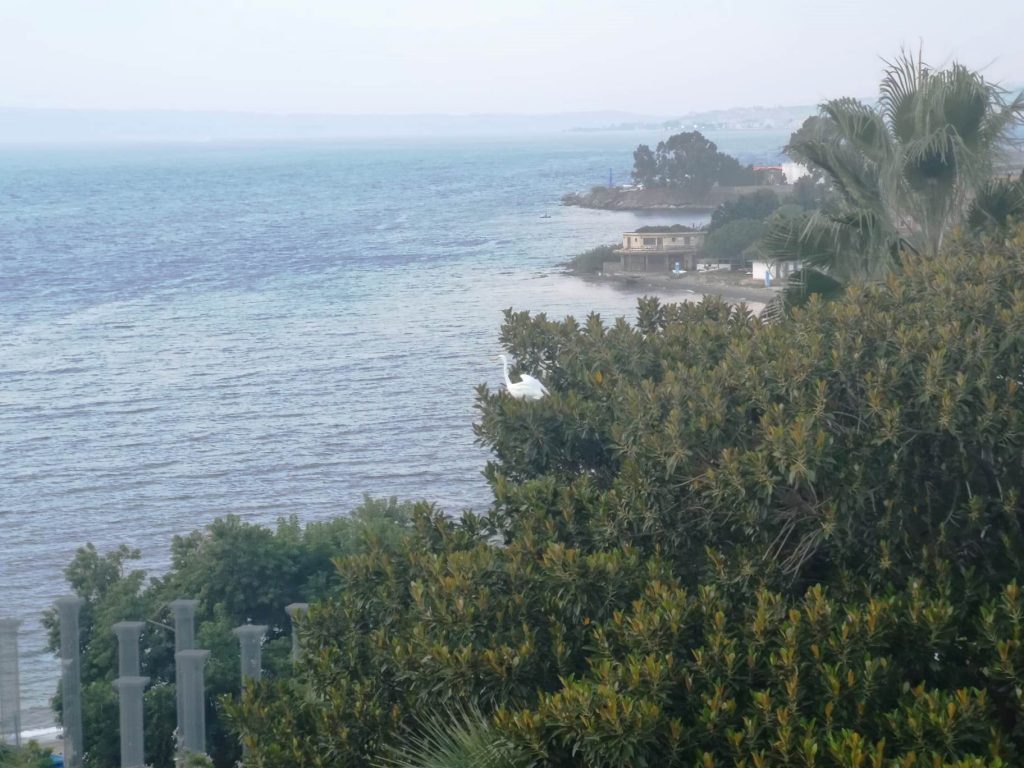 airone lungomare falcomatà