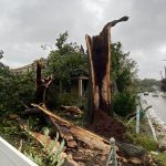 Meteo, ciclone Nor’easter porta venti da uragano nel Nord-Est degli USA: 600.000 case senza elettricità e strage di alberi – FOTO e VIDEO