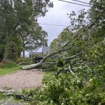 Meteo, ciclone Nor’easter porta venti da uragano nel Nord-Est degli USA: 600.000 case senza elettricità e strage di alberi – FOTO e VIDEO