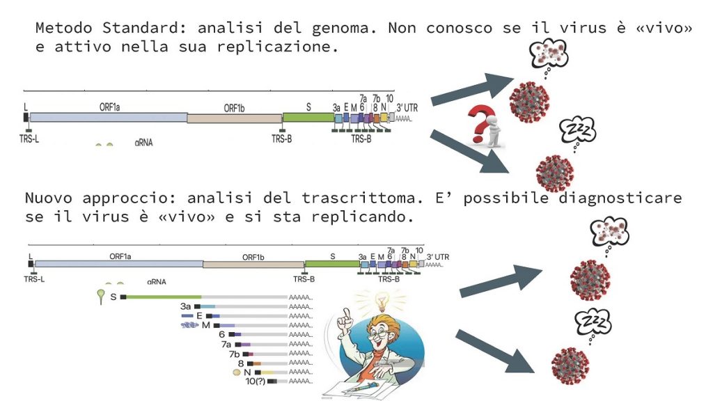 cnr coronavirus