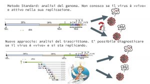 cnr coronavirus