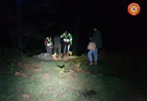 fungaiolo disperso pesdavoli