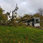 Meteo, forte tempesta di vento provoca distruzione in Europa: fino a 175km/h in Francia, 4 morti in Polonia – FOTO e VIDEO