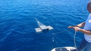microplastiche calabria