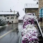 Maltempo, prima neve di stagione a Livigno: temperatura fino a -0,7°C – FOTO