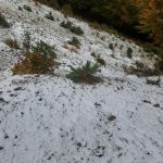 Meteo, neve eccezionalmente prematura in Calabria: imbiancati Pollino e Sila – FOTO