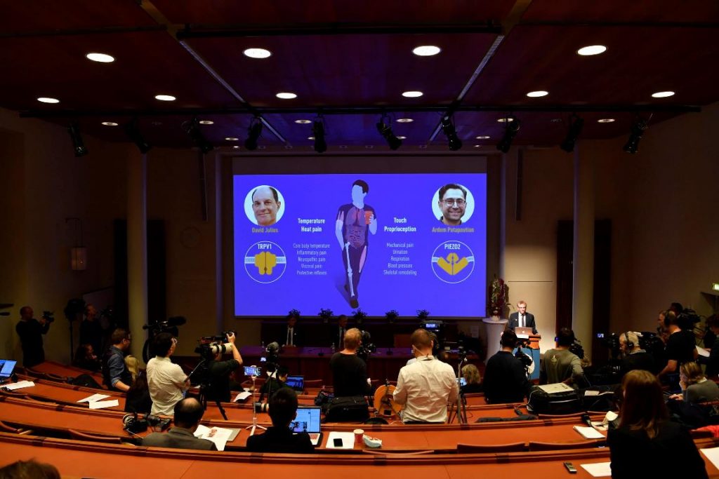 nobel medicina