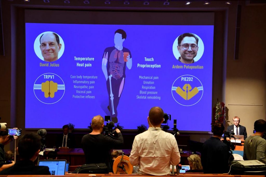 nobel medicina