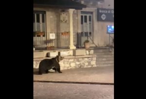 orso villalago