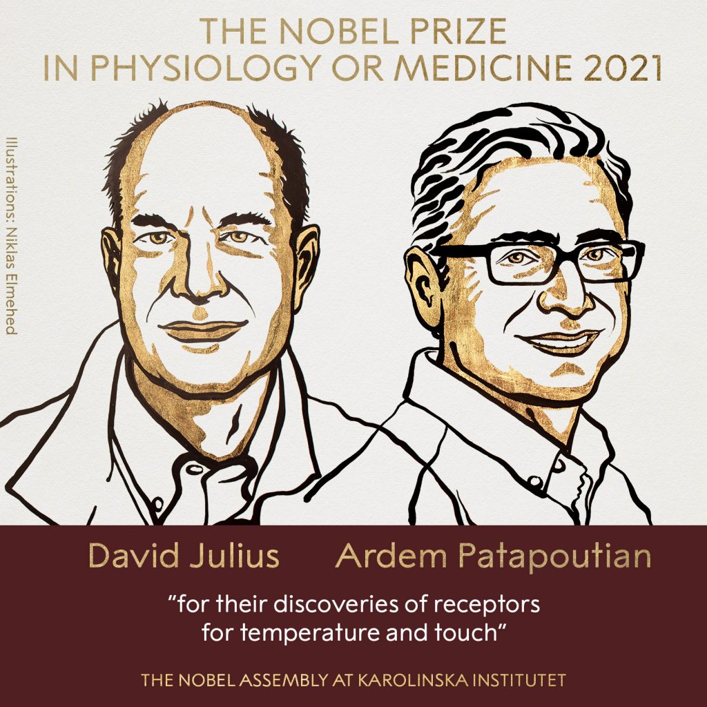 premio nobel medicina 2021