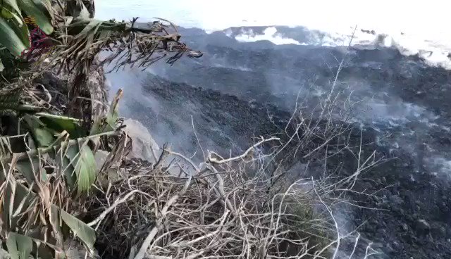 La Palma
