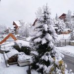Maltempo in Veneto: fitte nevicate nella notte sulle Dolomiti, scenari fiabeschi a Cortina e San Vito di Cadore [FOTO]