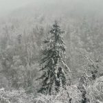 Maltempo e neve in Liguria: primi fiocchi bianchi nell’entroterra, già 11 cm al Monte Settepani [FOTO]